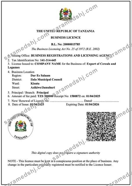 Tanzania business licence Word and PDF template
